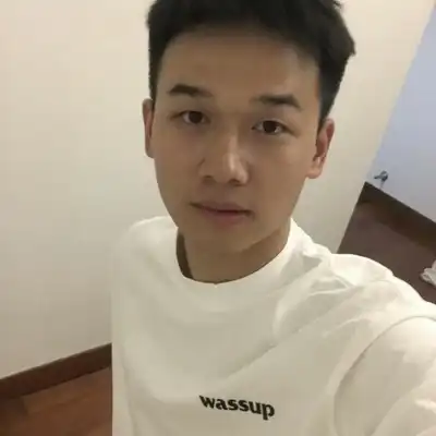 雷致